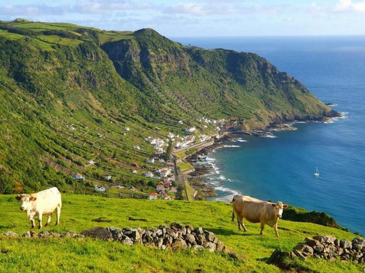 Azor International Hostel Ponta Delgada Exteriér fotografie
