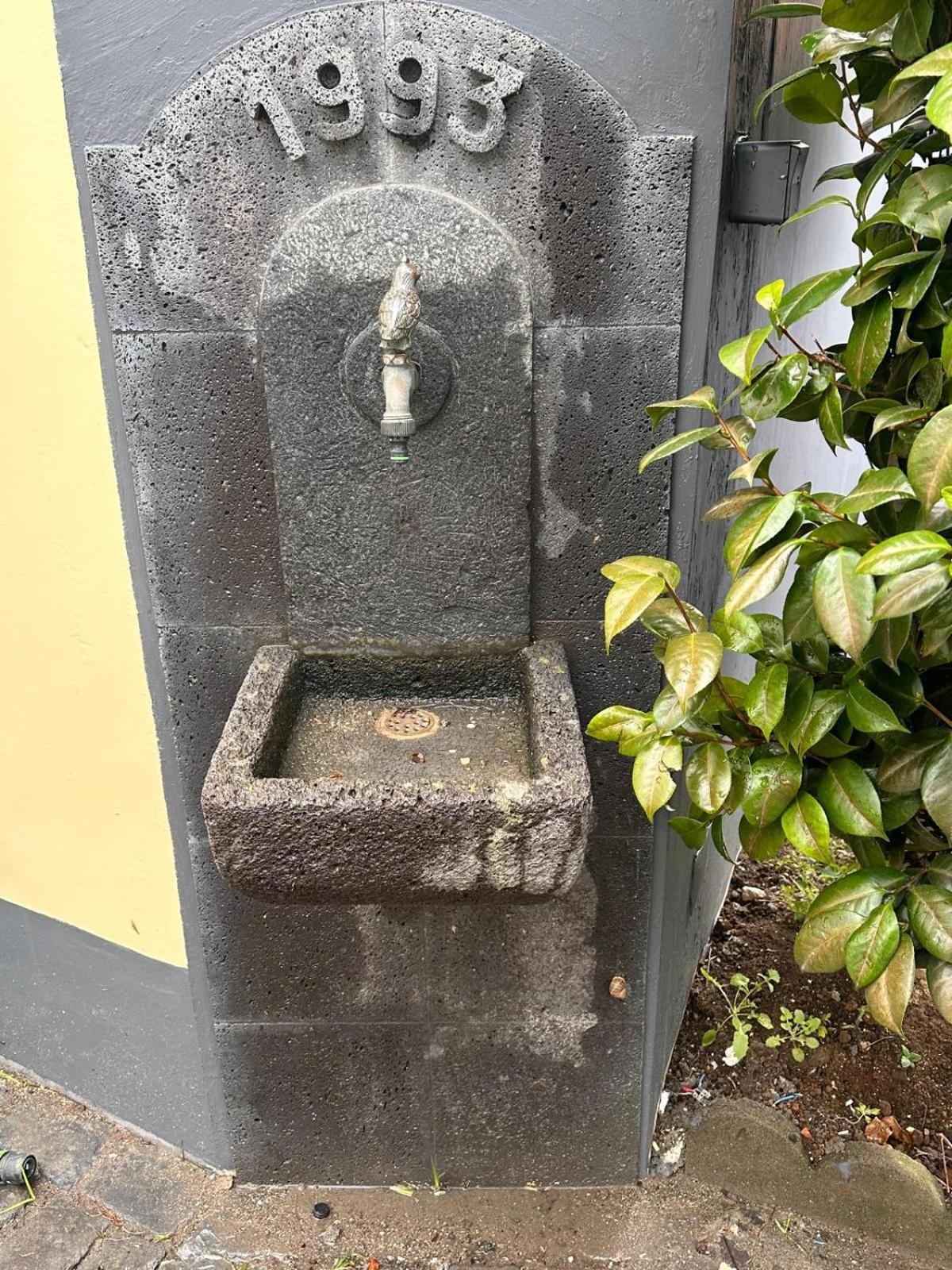 Azor International Hostel Ponta Delgada Exteriér fotografie